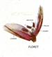  Floret